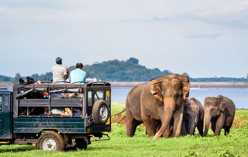 udawalawe