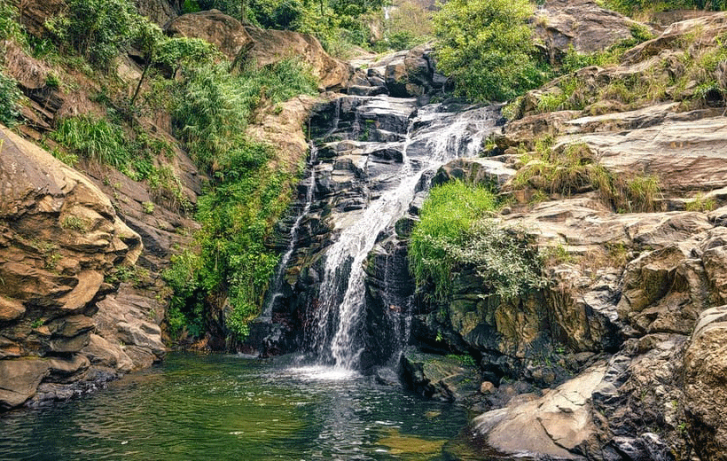 TEA MOUNTAINS